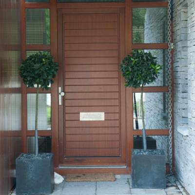 Brown paneled front door with glass sidelights, flanked by two round topiary trees in square planters on a stone entry.